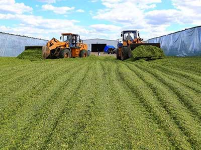 Straw Silage Agent_04