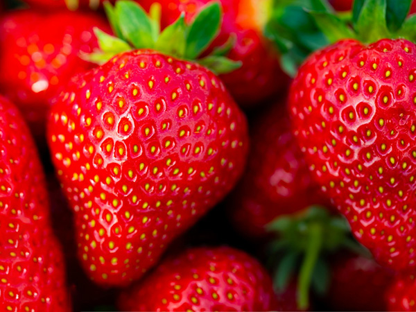 Active Collagen Peptides_04