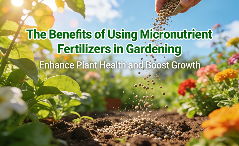 The Benefits of Using Micronutrient Fertilizers in Gardening