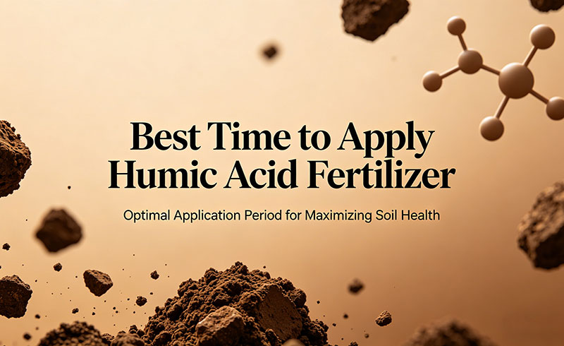 Best Time to Apply Humic Acid Fertilizer.jpg