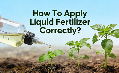 How To Apply Liquid Fertilizer Correctly.jpg