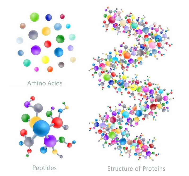Compreendendo os fertilizantes de amino&aacute;cidos, pept&iacute;deos e prote&iacute;nas de peixe_02