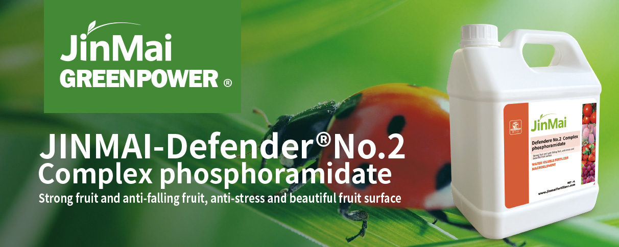 Complex Phosphoramidate Fertilizer