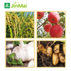 B-Fe-Mn-Zn-Mo-Cu Fertilizer