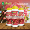 High Efficiency Plant Flower And Fruit Accelerator Fertilizer