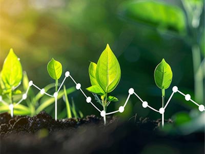 Soil Improvement And Growth Promotion Antibacterial Agent_04