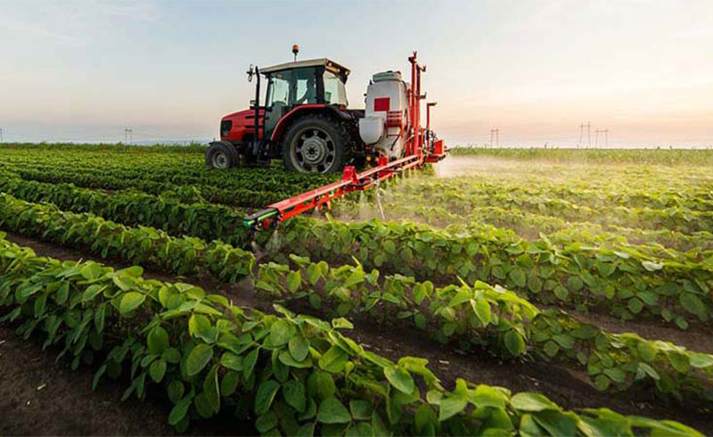 What Is A Water Soluble Fertilizer?