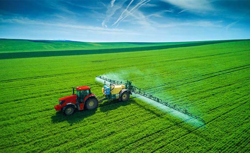 Global Specialty Fertilizer Market Trends and Future Outlook