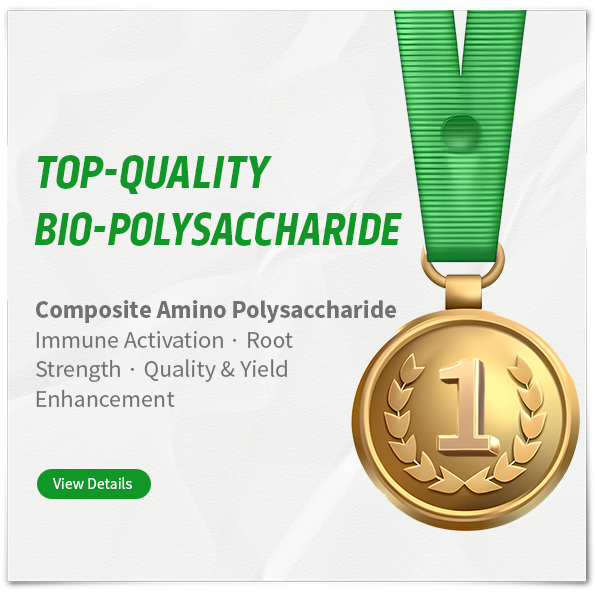 Biological Polysaccharide