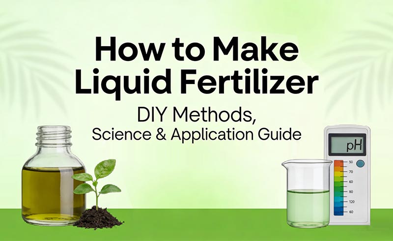 How to Make Liquid Fertilizer: DIY Methods, Science & Application Guide