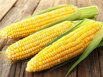 Phosphate Calcium Zinc Fertilizer