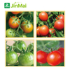 Tomato Coloring Enhancers Fertilizer