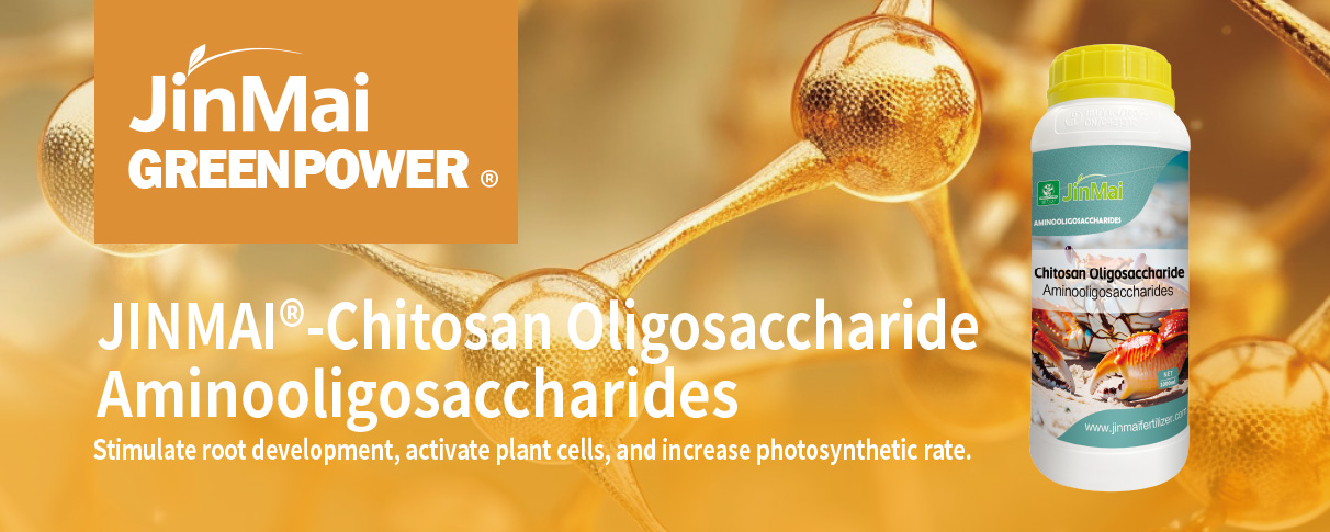 Aminooligosaccharides Fertilizer_01