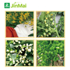 High Efficiency Flower Promoter Fertilizer