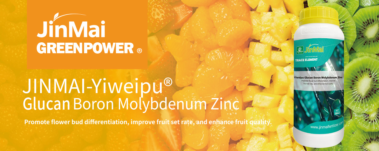Glucan Boron Molybdenum Zinc Fertilizer_01