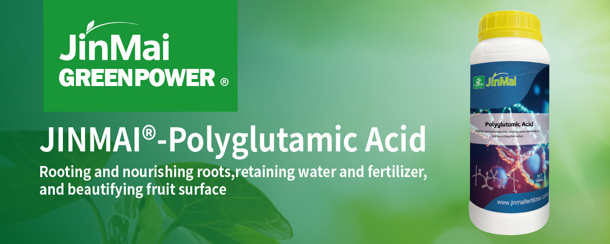 Polyglutamic Acid_01