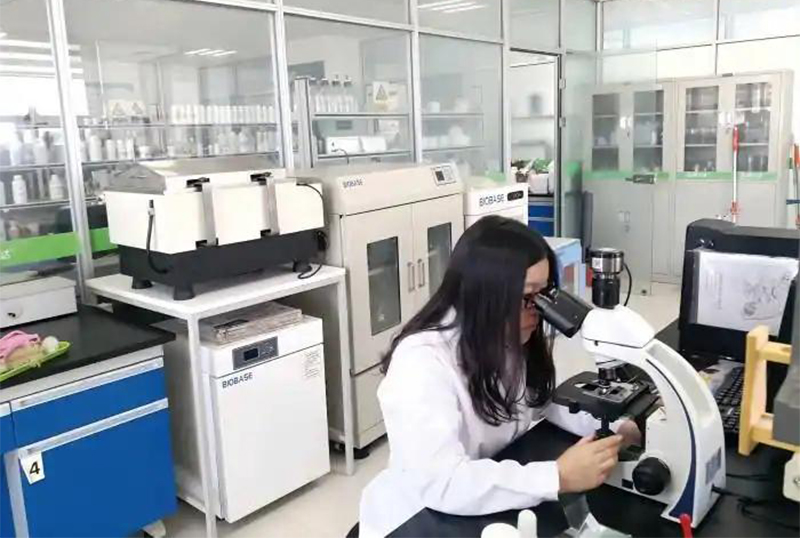 Jinmai Biotech Accelerates 2025 Transformation and Innovation_02