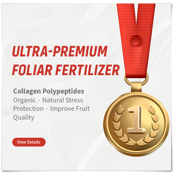 Collagen Polypeptides
