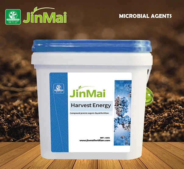 How to Use Amino Acid Fertilizer for Plants