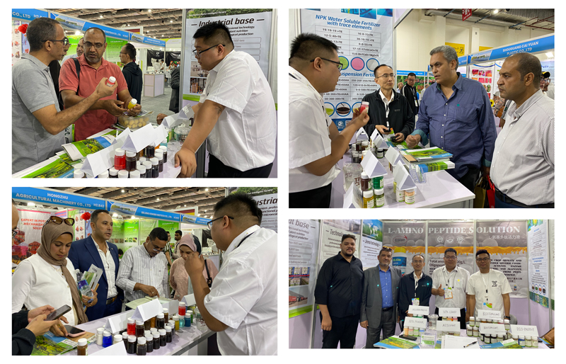 JINMAI-Successfully-Concludes-Egypt-International-Agricultural-Exhibition-2025_03