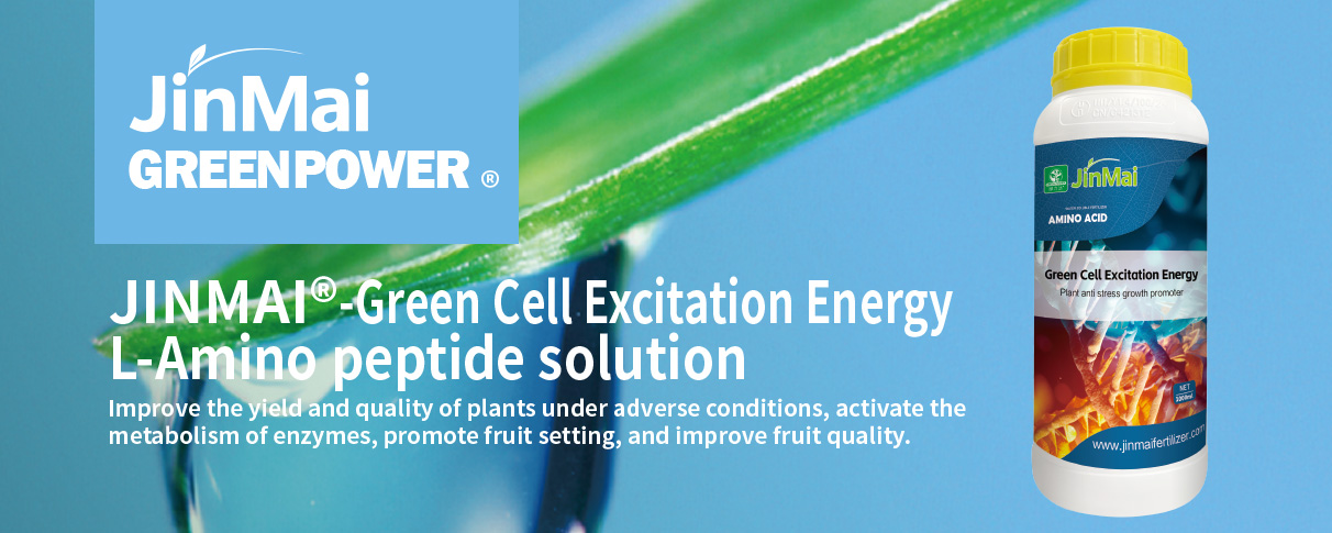 L-Amino Peptide Solution Fertilizer