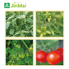 Tomato Growth Control Flowering And Fruiting Enhancers Fertilizer