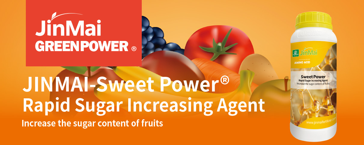 Rapid Sugar Increasing Agent Fertilizer_01