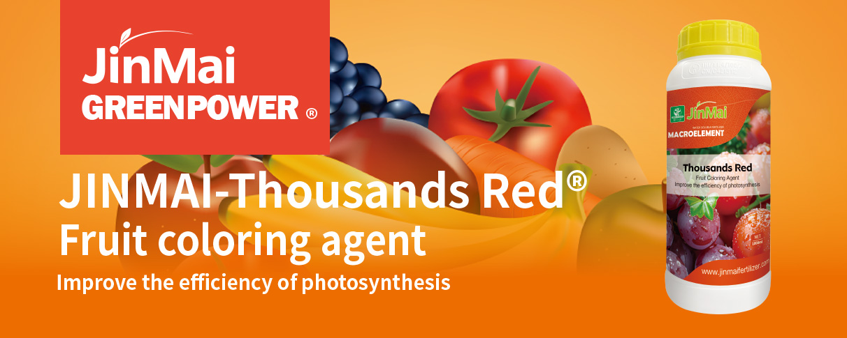 Fruit Coloring Agent Fertilizer_01