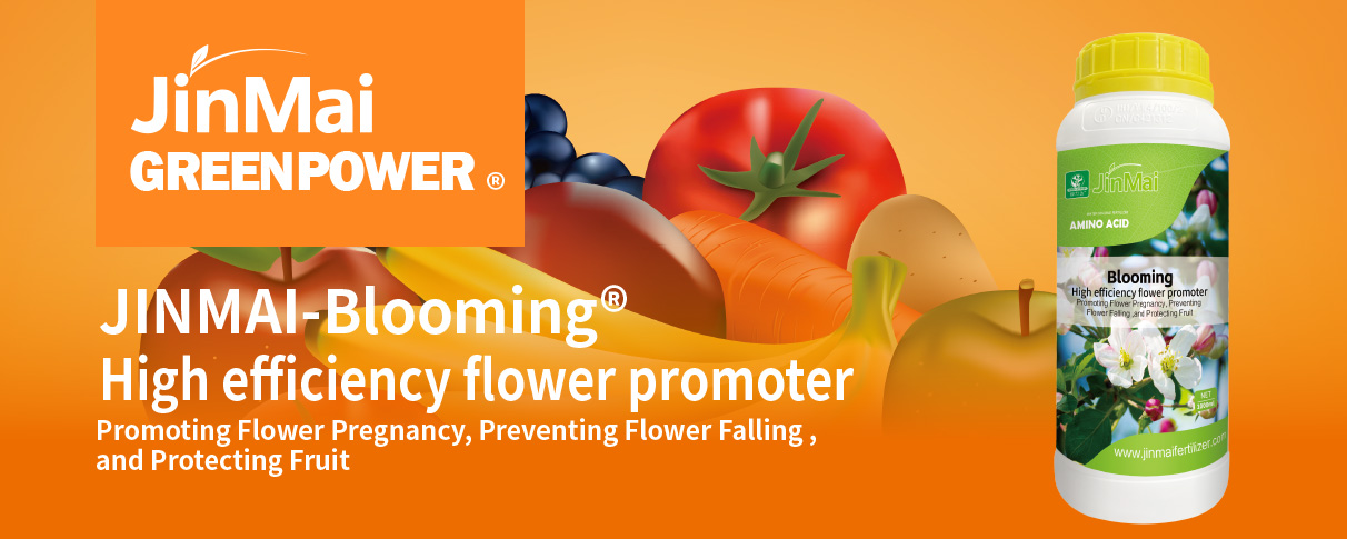 High Efficiency Flower Promoter Fertilizer_01