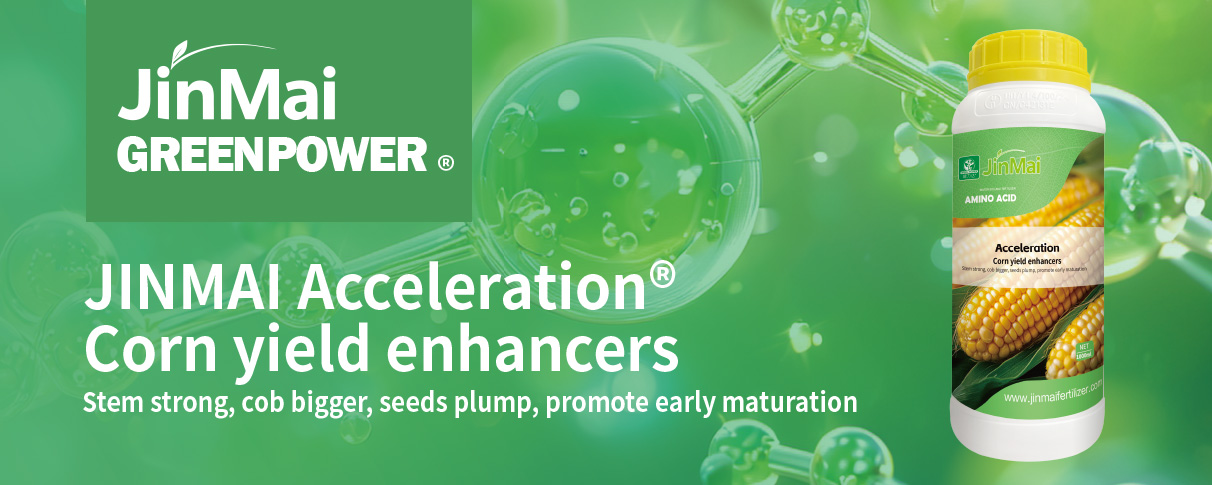 Corn Yield Enhancers Fertilizer_01