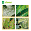 Specialized For Fungal Defense Control