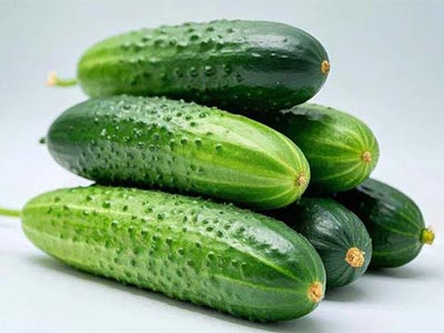 Plant Acid (Tertiary Purification Process)_07