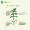 Compound Enzyme Soil Improvement Bacteria Growth Agent