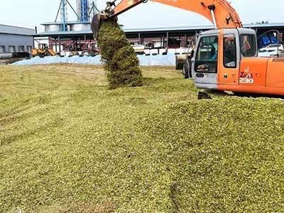 Straw Silage Agent_03