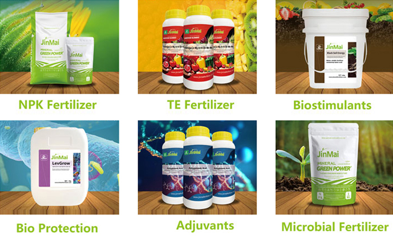 Understanding Fertilizer Categories and Their Effects: A Complete Guide for Modern Agriculture