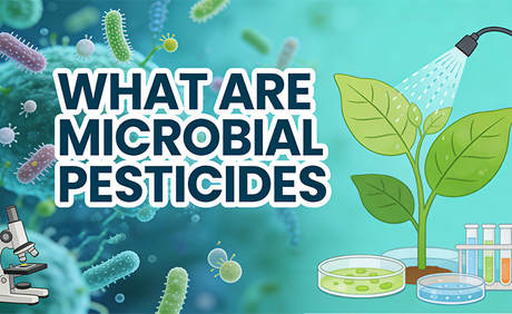 What Are Microbial Pesticides.jpg