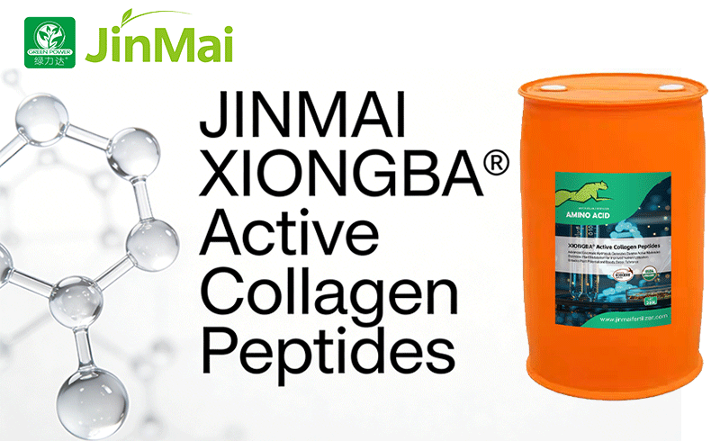 Pept&iacute;deos ativos de col&aacute;geno JINMAI XIONGBA&reg;