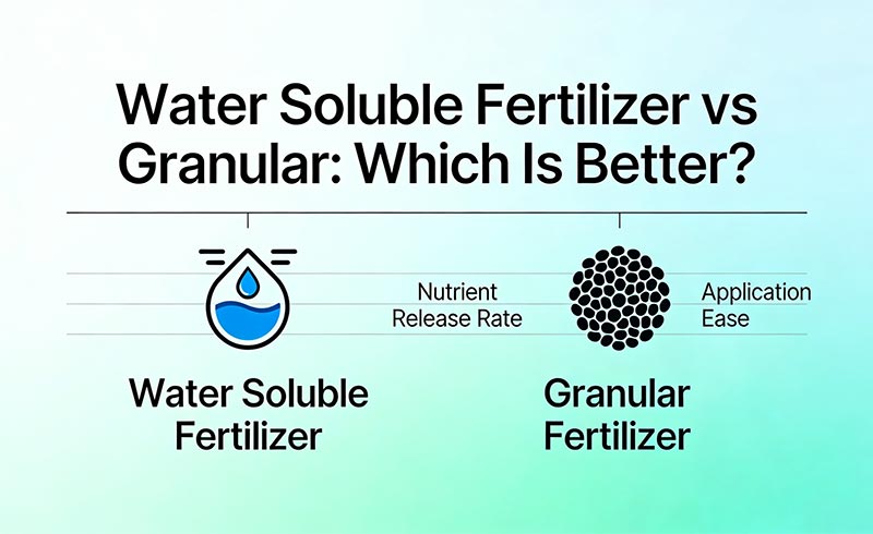 Fertilizante Sol&uacute;vel em &Aacute;gua vs Granular: Qual &eacute; o Melhor?