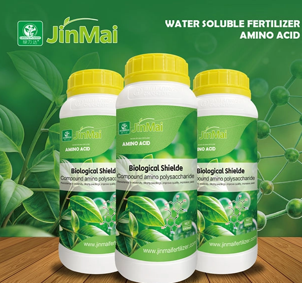 What Is Biological Polysaccharide