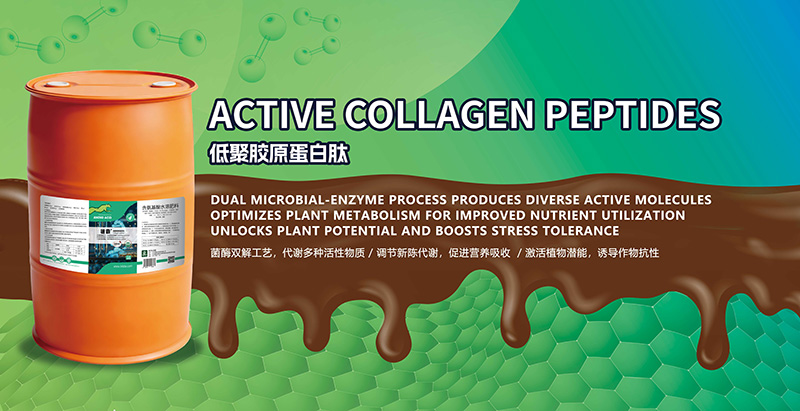 JINMAI Biotech conclui CAC 2026 com forte envolvimento global e inova&ccedil;&atilde;o emblem&aacute;tica_02