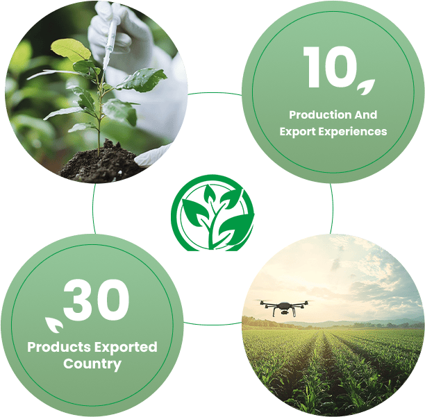 Company Overview (1)