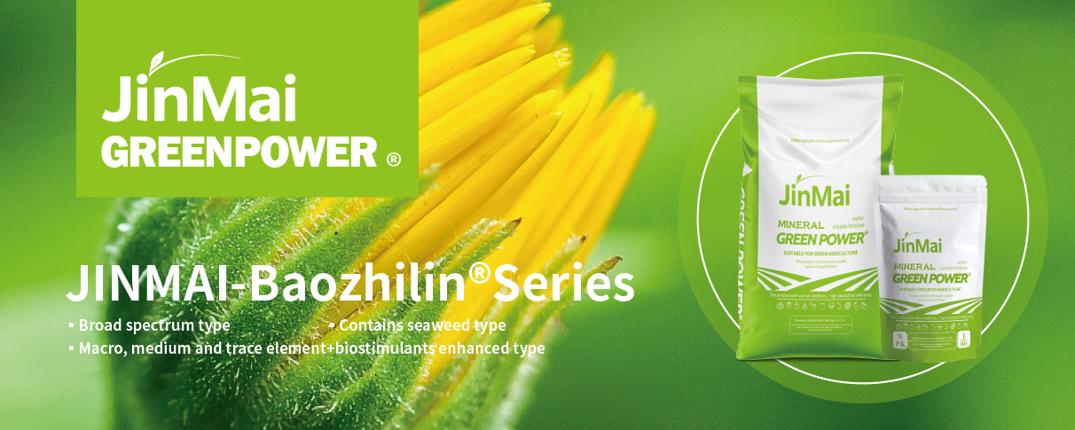 Seaweed Type NPK Fertilizer_01