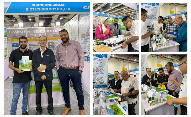 JINMAI-Successfully-Concludes-Egypt-International-Agricultural-Exhibition-2025_02