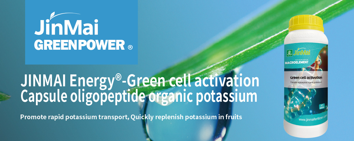 Capsule Oligopeptide Organic Potassium Fertilizer
