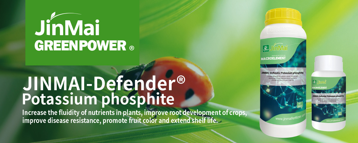 Potassium Phosphite Fertilizer