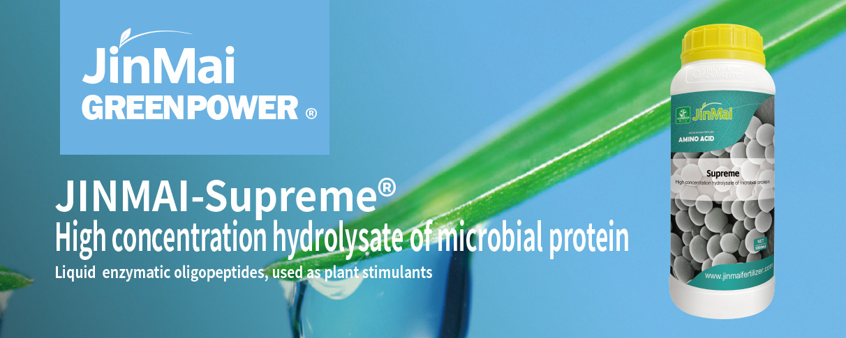 High Concentration Hydrolysate Fertilizer of Microbial Protein
