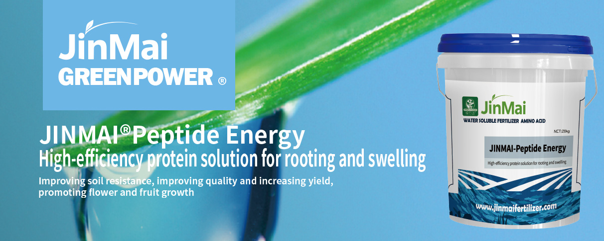 High-Efficiency Protein Solution Fertilizer For Rooting And Swelling
