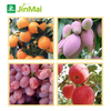 Rapid Sugar Increasing Agent Fertilizer