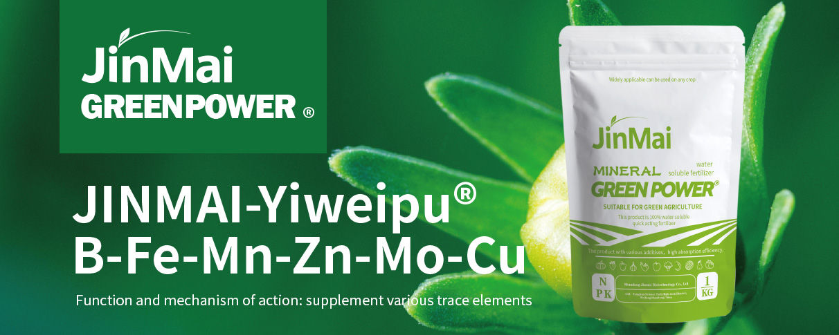 B-Fe-Mn-Zn-Mo-Cu Fertilizer_01