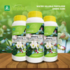 High Efficiency Flower Promoter Fertilizer